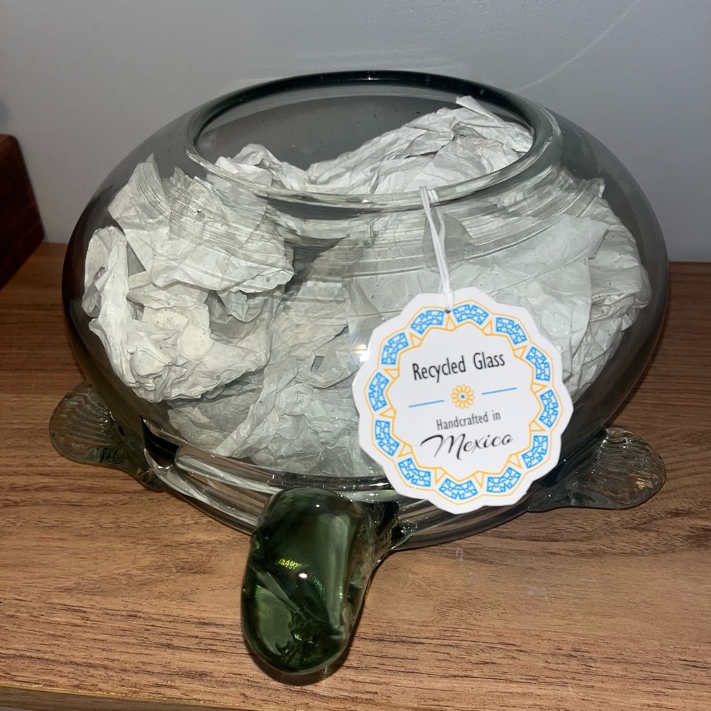 Handmade Blown Glass 'Desert Turtle' Terrarium (Mexico)
